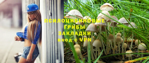 2c-b Щигры