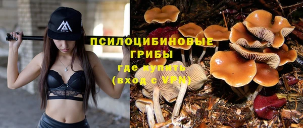 синтетический гашиш Кинешма