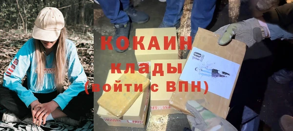 mdpv Каменногорск