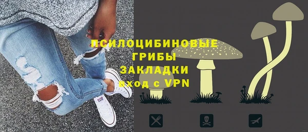 шишки Киреевск