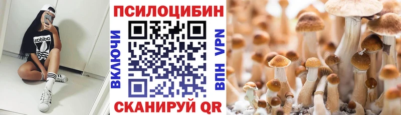 Псилоцибиновые грибы Cubensis  что такое   Учалы 